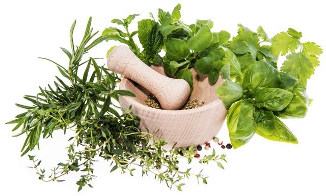 Thảo dược giúp tăng tuần hoàn máu não, đẩy nhanh quá trình điều trị.