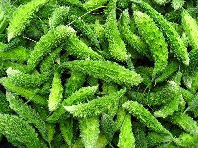 Trị viêm họng bằng quả mướp đắng