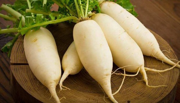 Củ cải có tác dụng rất tốt trong điều trị ho nhiều đờm