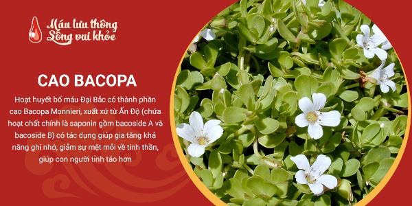 Cách chữa đau đầu chóng mặt buồn nôn toát mồ hôi do thiếu máu não