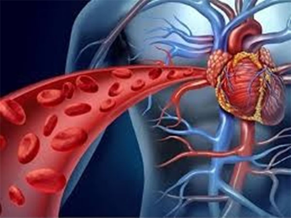 Lưu thông máu kém gây nhiều triệu chứng nguy hại cho sức khỏe