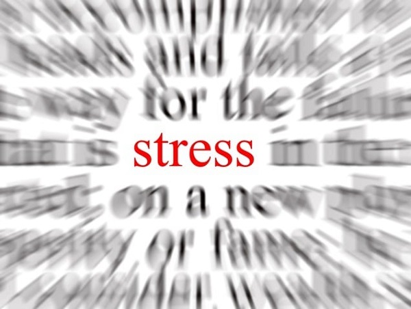 Stress kéo dài là nguyên nhân suy giảm trí nhớ nặng nhất