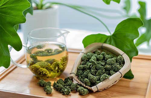 Cách sử dụng hoa tam thất chữa bệnh mất ngủ triền miên