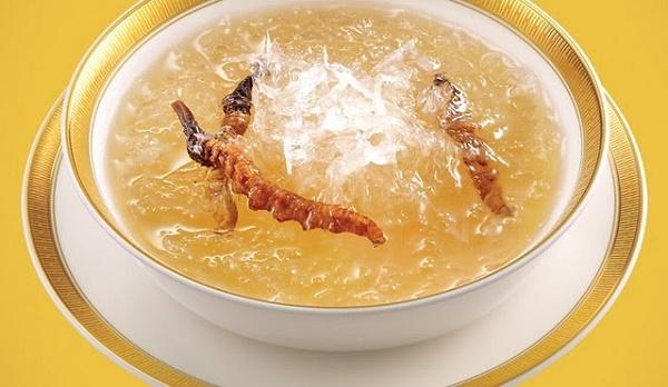 Món ăn từ đông trùng hạ thảo