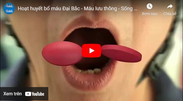 video cây sinh địa có công dụng gì