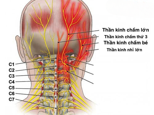 đau dây thần kinh chẩm